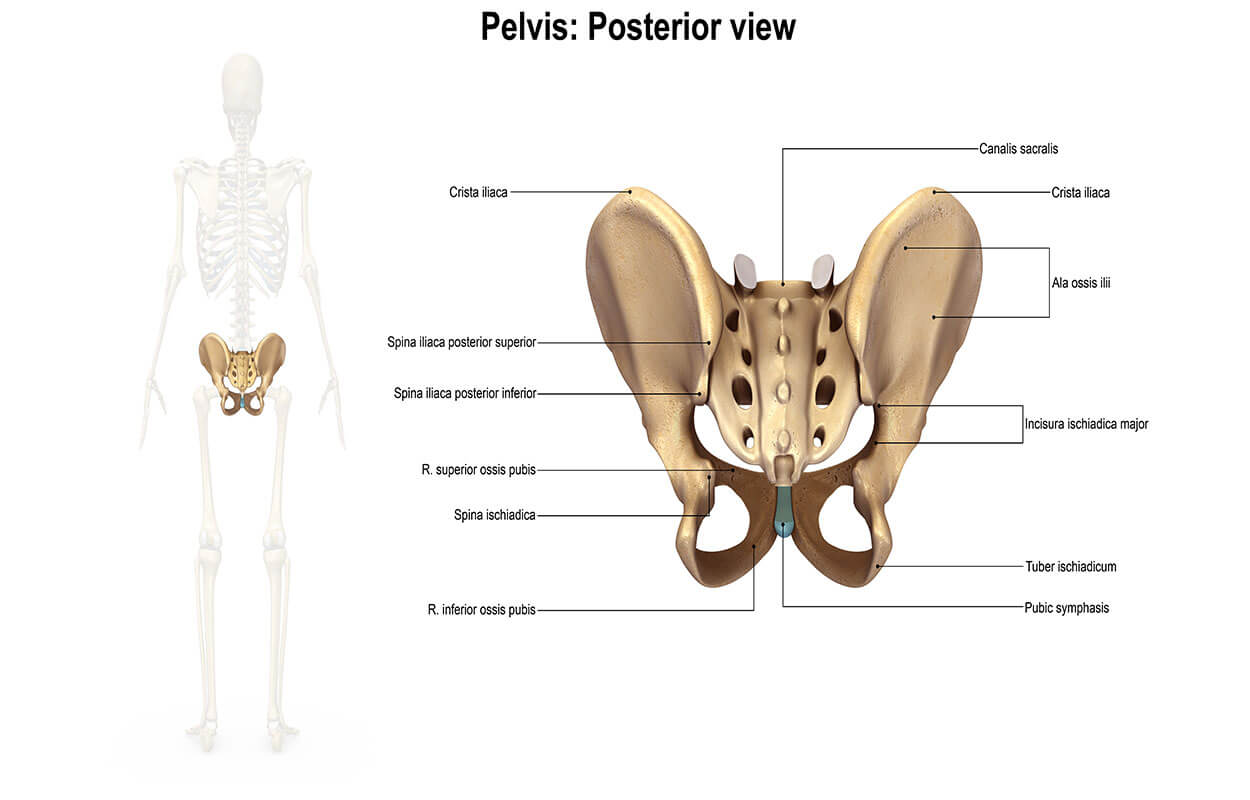 Pelvic Health Physiotherapy slide